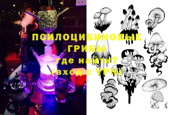 прущая мука Гусев