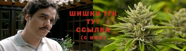 прущая мука Гусев