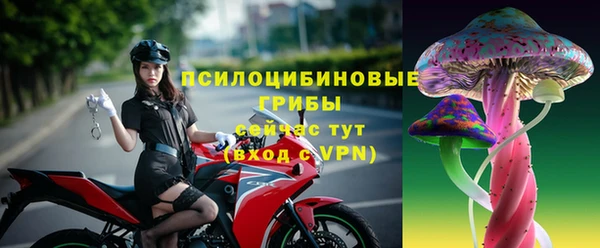 прущая мука Гусев