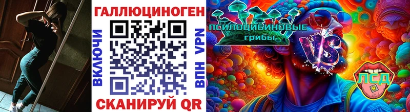 Купить  Ставрополь  Галлюциногенные грибы мицелий 